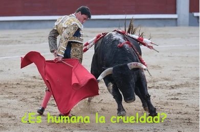 EDITORIAL DE HACIENDO CAMINO SETIEMBRE 2025
