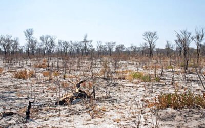 «ÉXITOS CULTURALES»