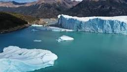 Una vicuña en Casa Rosada